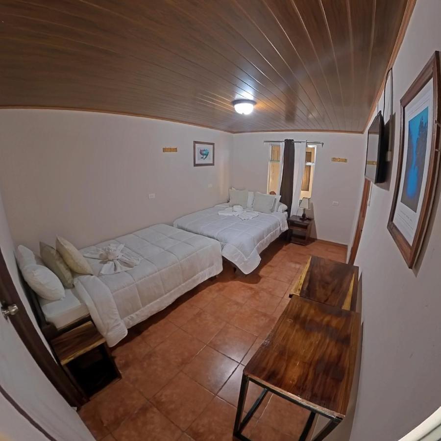Casa Jungle Monteverde B&B Bagian luar foto