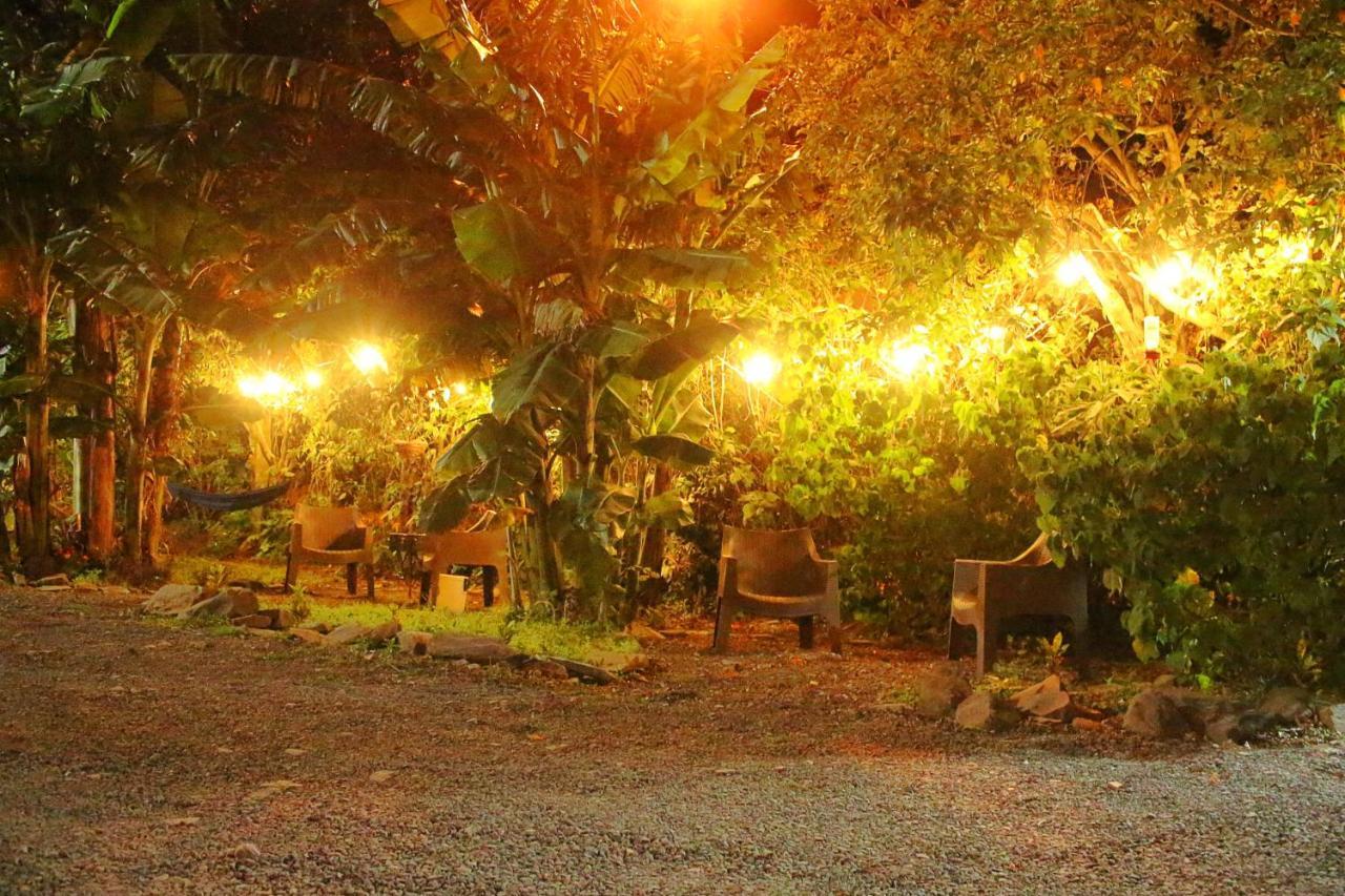 Casa Jungle Monteverde B&B Bagian luar foto