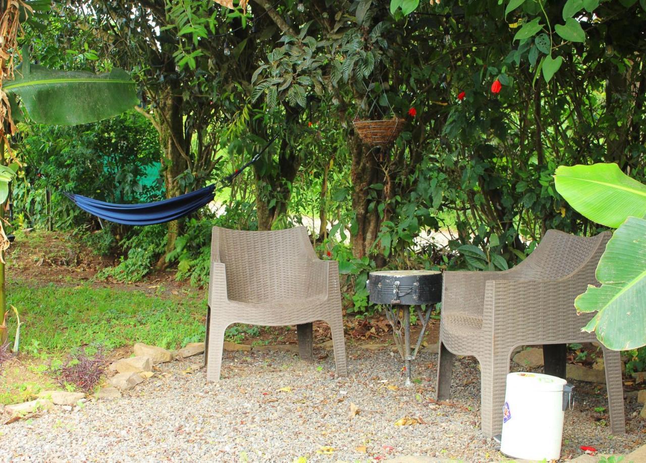 Casa Jungle Monteverde B&B Bagian luar foto