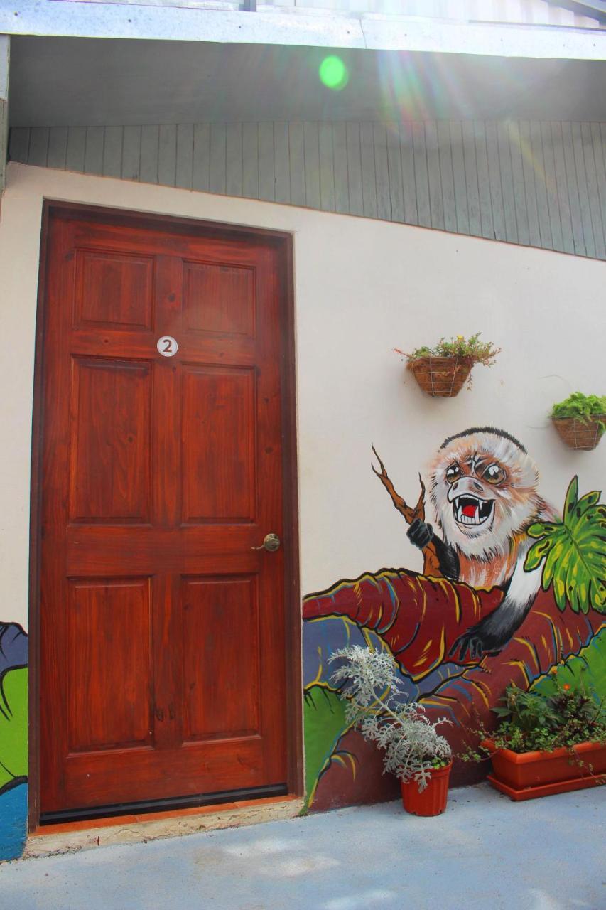 Casa Jungle Monteverde B&B Bagian luar foto